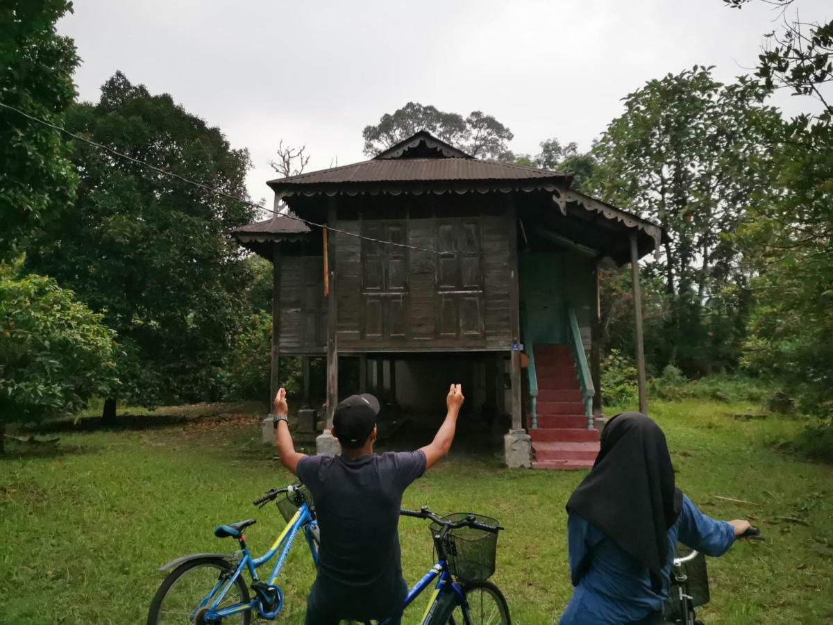 Отель Gopeng Glamping Park Экстерьер фото